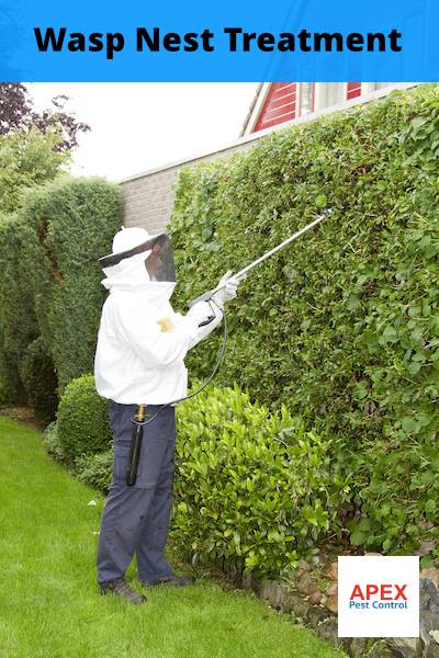 Wasp control