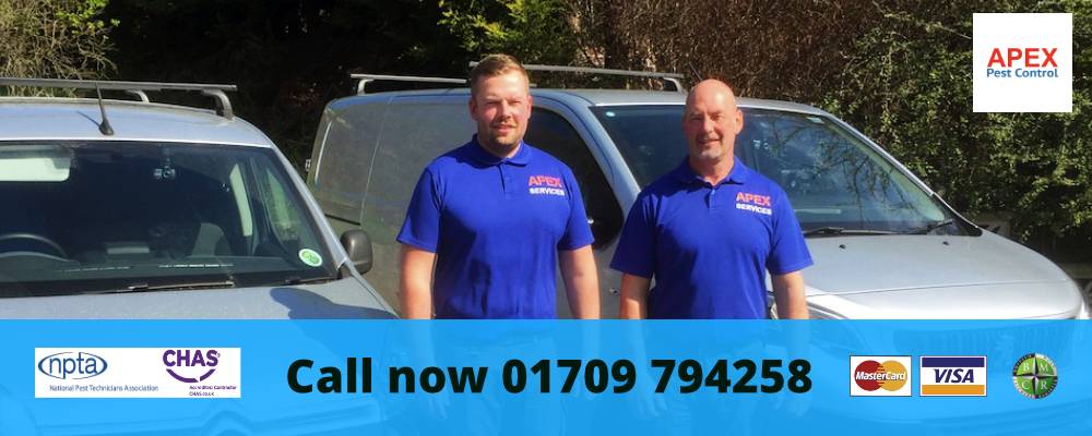 pest control rotherham