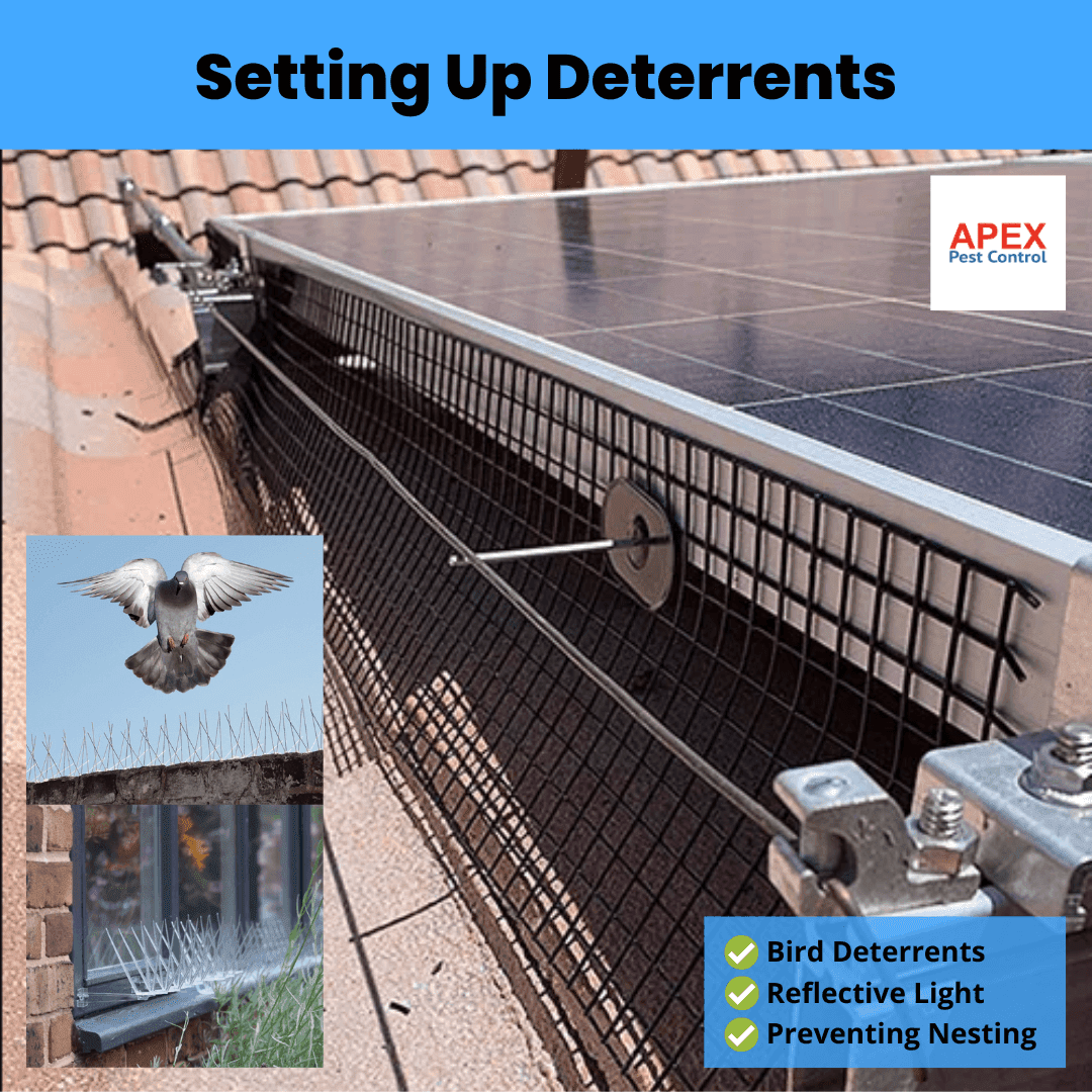 Setting Up Deterrents