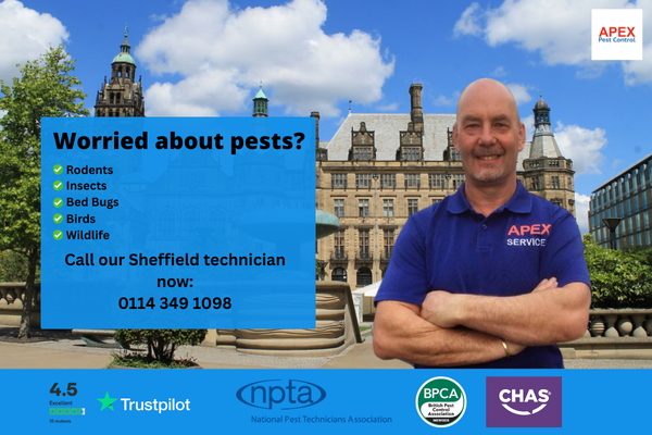sheffield pest technician apex pest control
