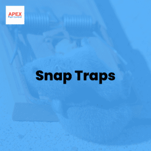 snap traps