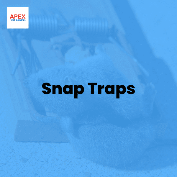 snap traps
