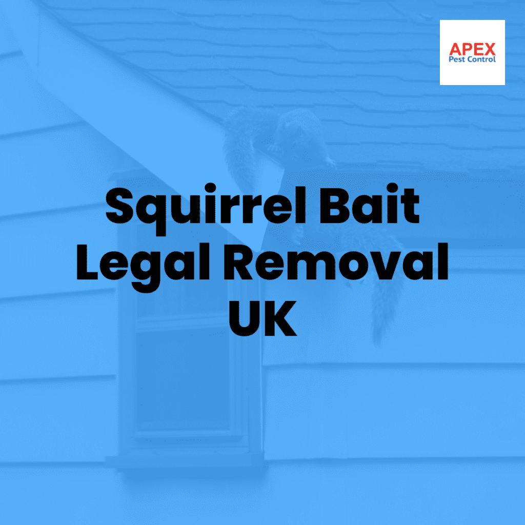 squirrel bait legal removal uk