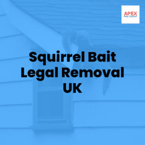 squirrel bait legal removal uk