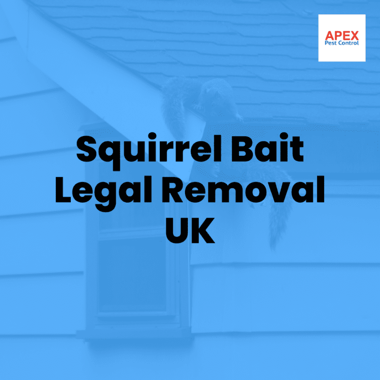 squirrel bait legal removal uk
