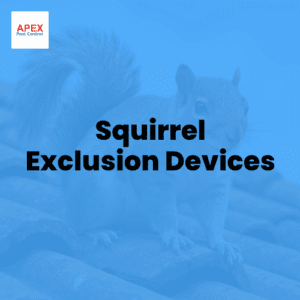 squirrel exclusion devices