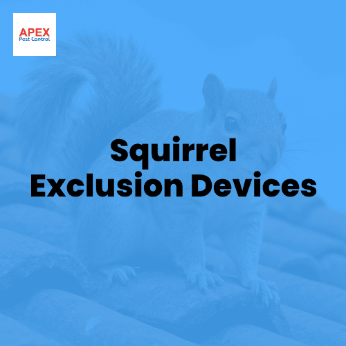 squirrel exclusion devices