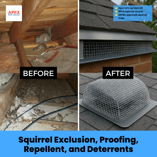 squirrel exclusion, proofing, repellent, and deterrents