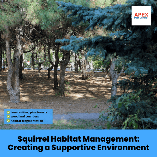 squirrel habitat management creating a supportive environment