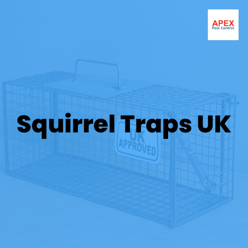 squirrel traps uk
