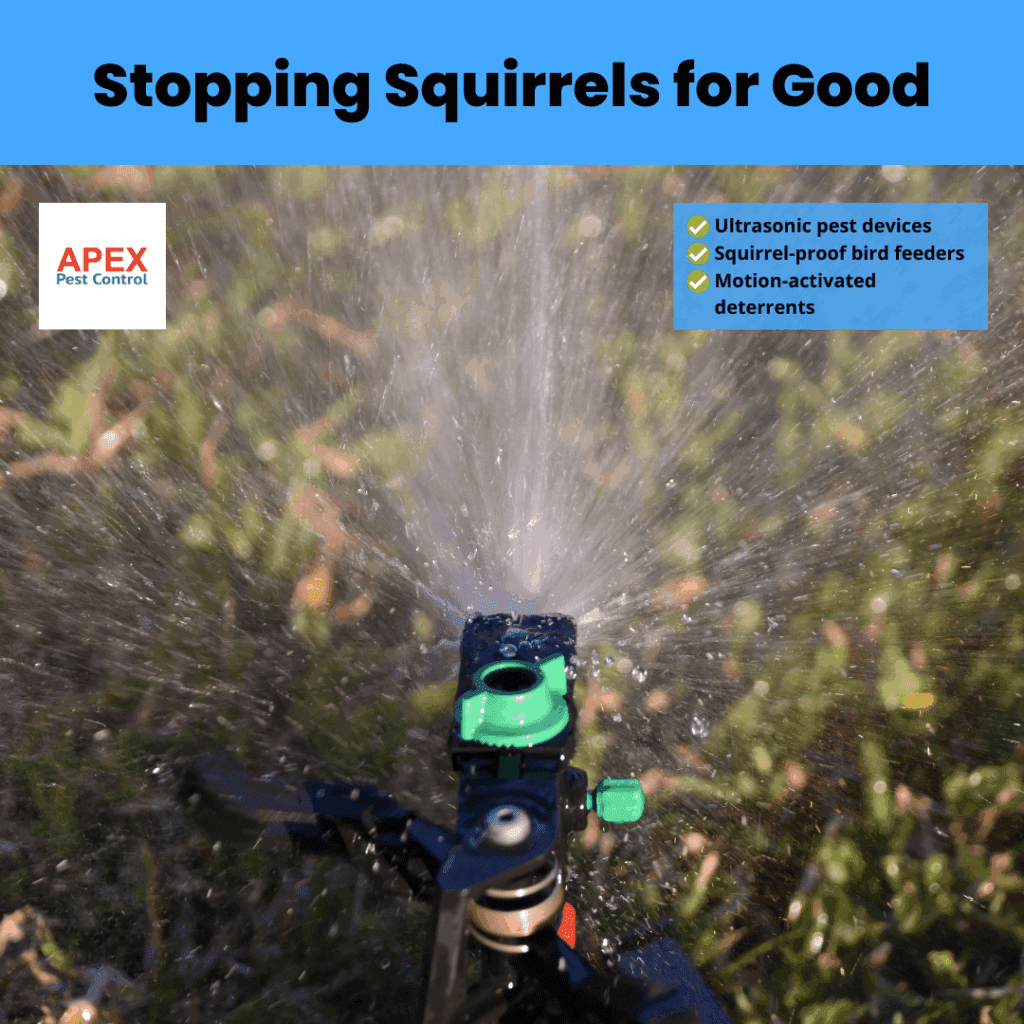 stopping squirrels for good