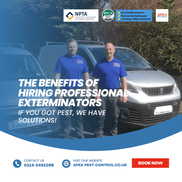 The Benefits of Hiring Professional Exterminators