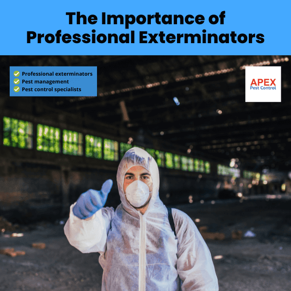 The Importance of Professional Exterminators