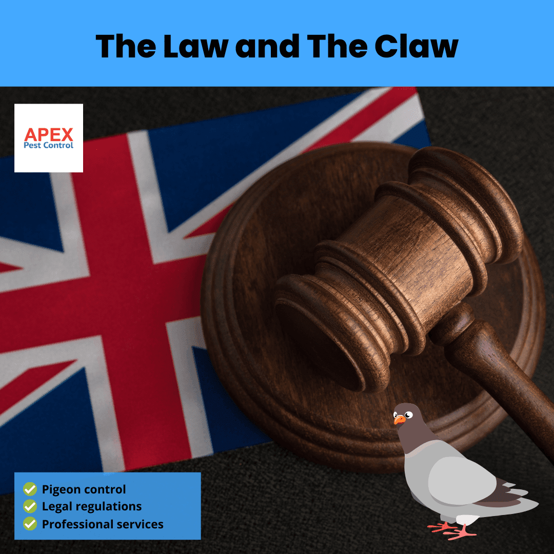 The Law and The Claw