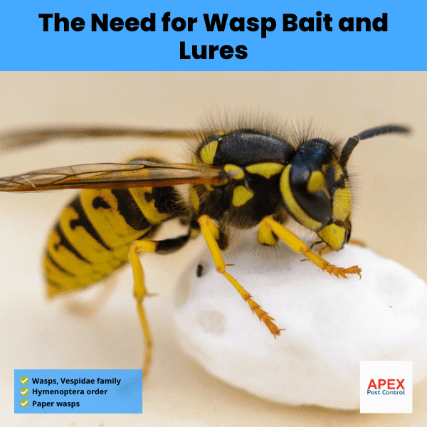 The Need for Wasp Bait and Lures