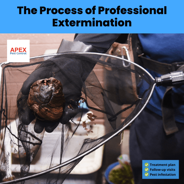 The Process of Professional Extermination