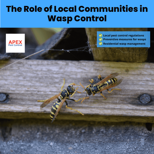 The Role of Local Communities in Wasp Control