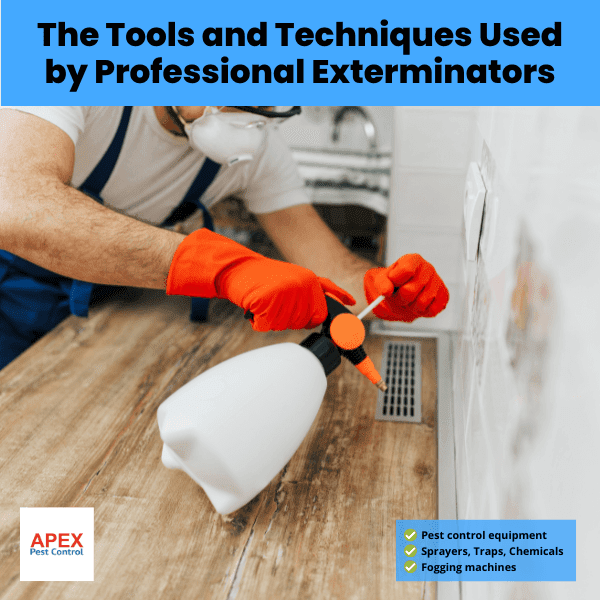 The Tools and Techniques Used by Professional Exterminators