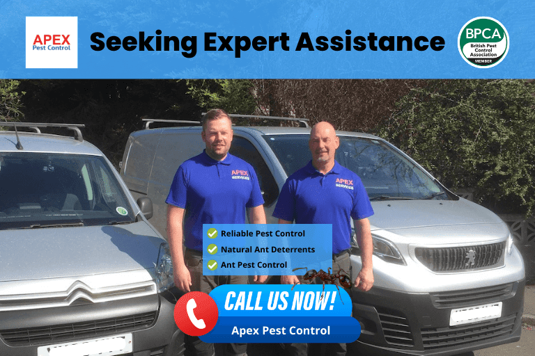 Time for Professional Pest Control Help