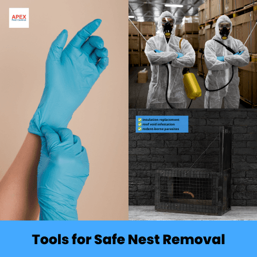 tools for safe nest removal