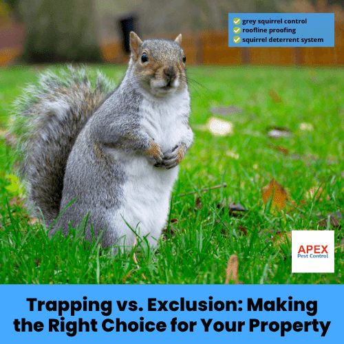 trapping vs. exclusion making the right choice for your property
