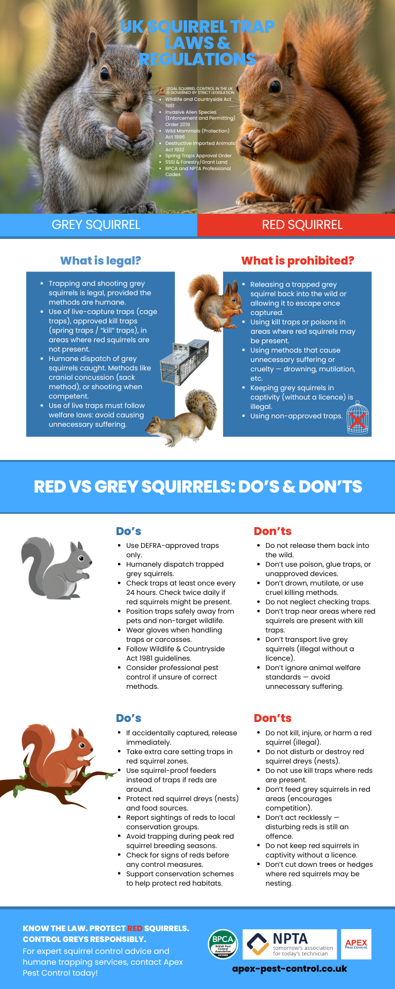 uk squirrel trap laws & regulations