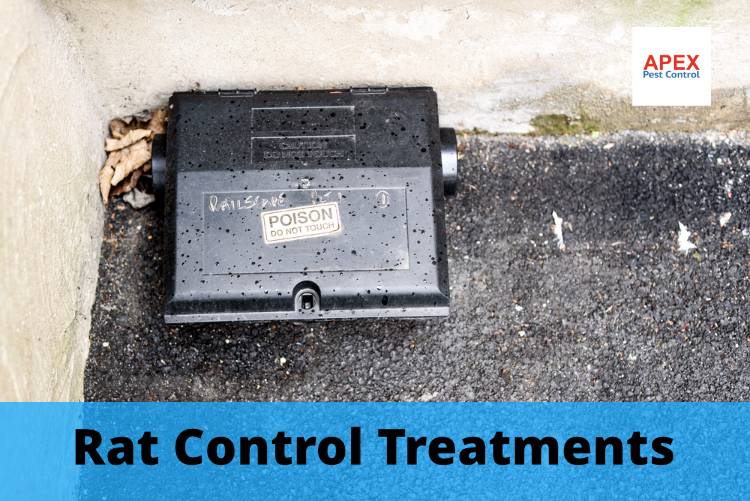 rat control Rotherham