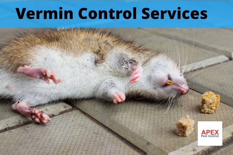 pest control