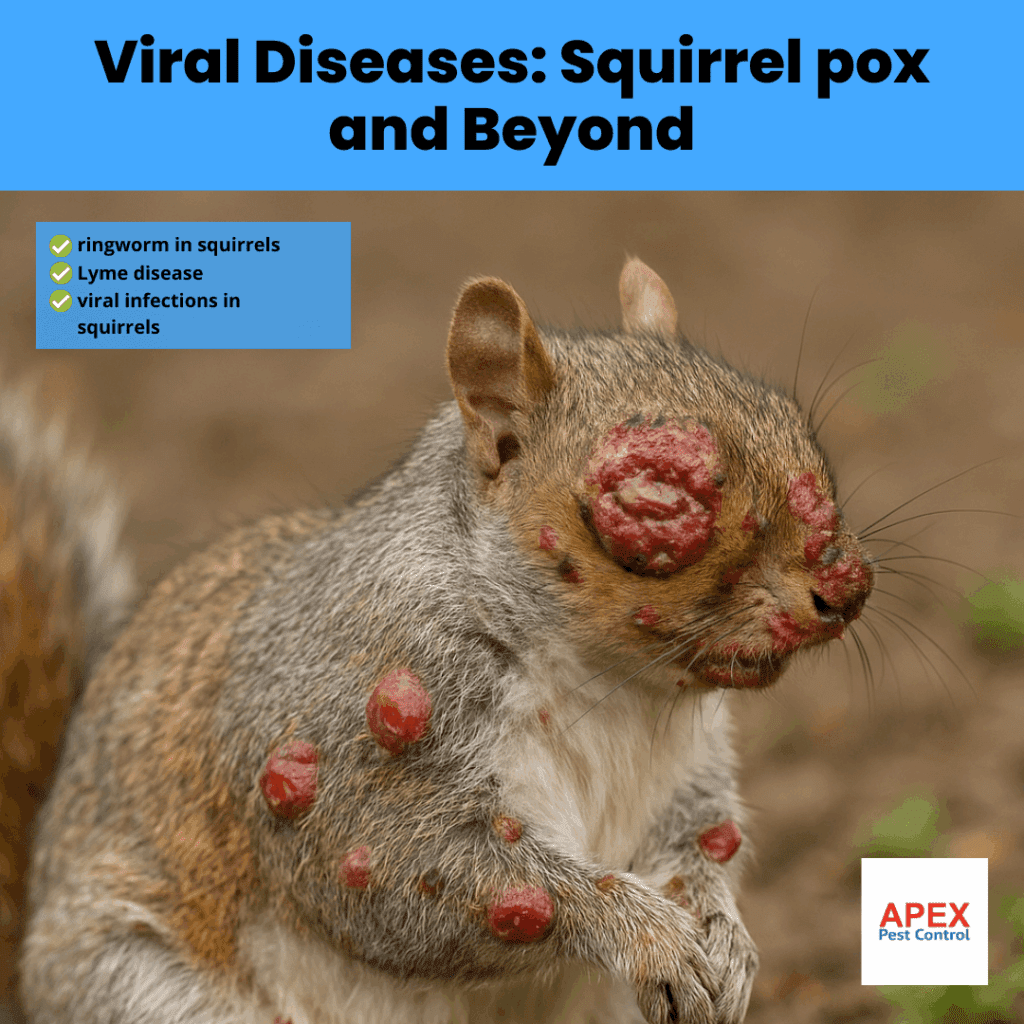 viral diseases squirrel pox and beyond
