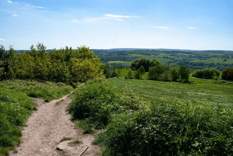wadsley and loxley commons
