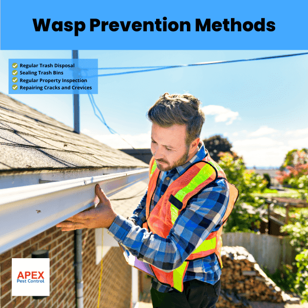 Wasp Prevention Methods