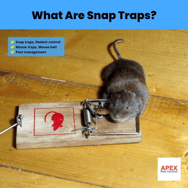 what are snap traps