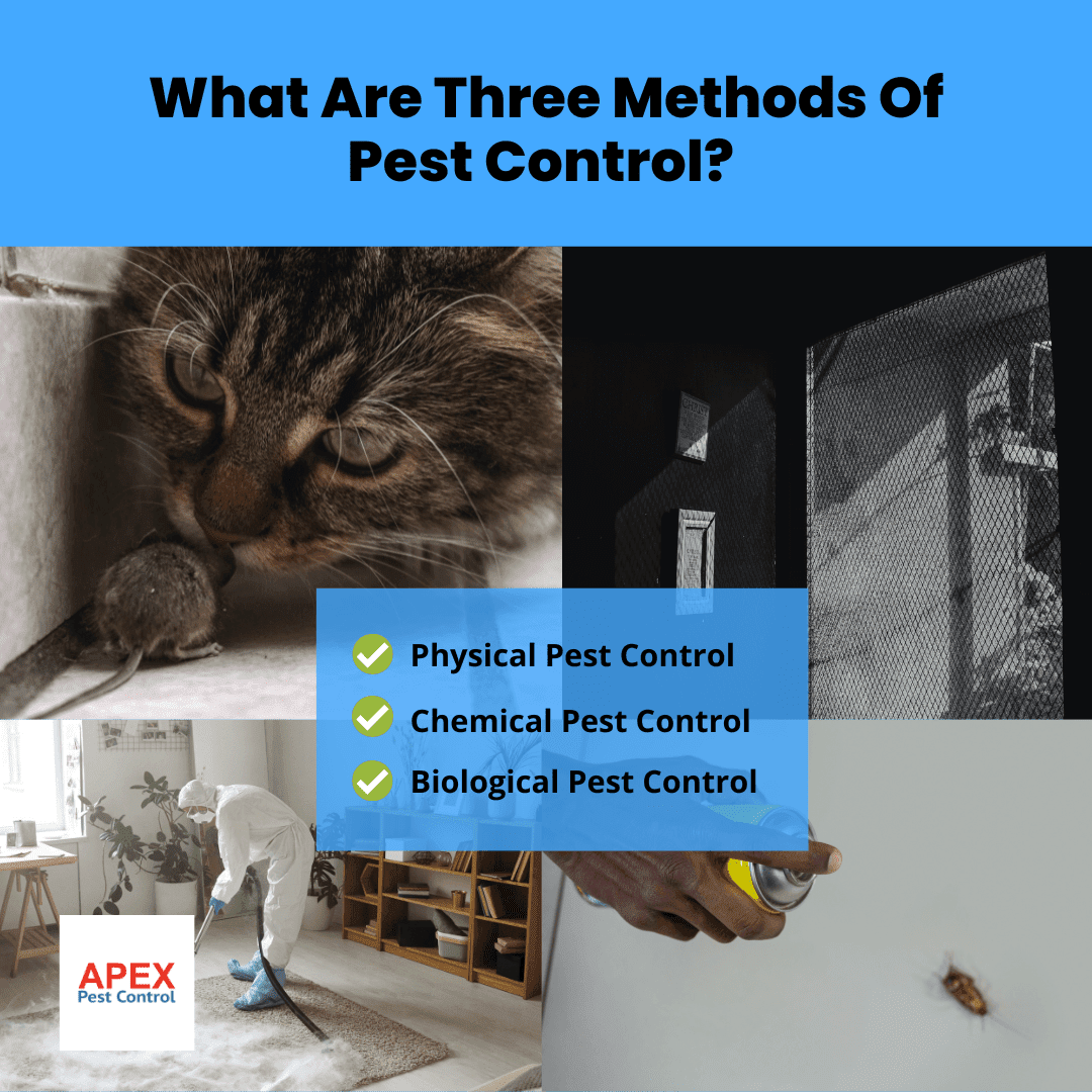 What Are Three Methods Of Pest Control