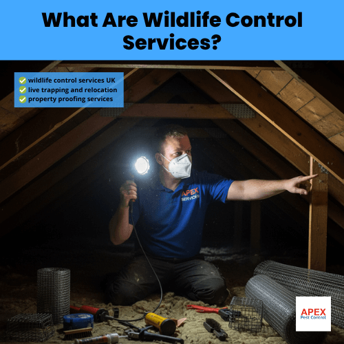 what are wildlife control services