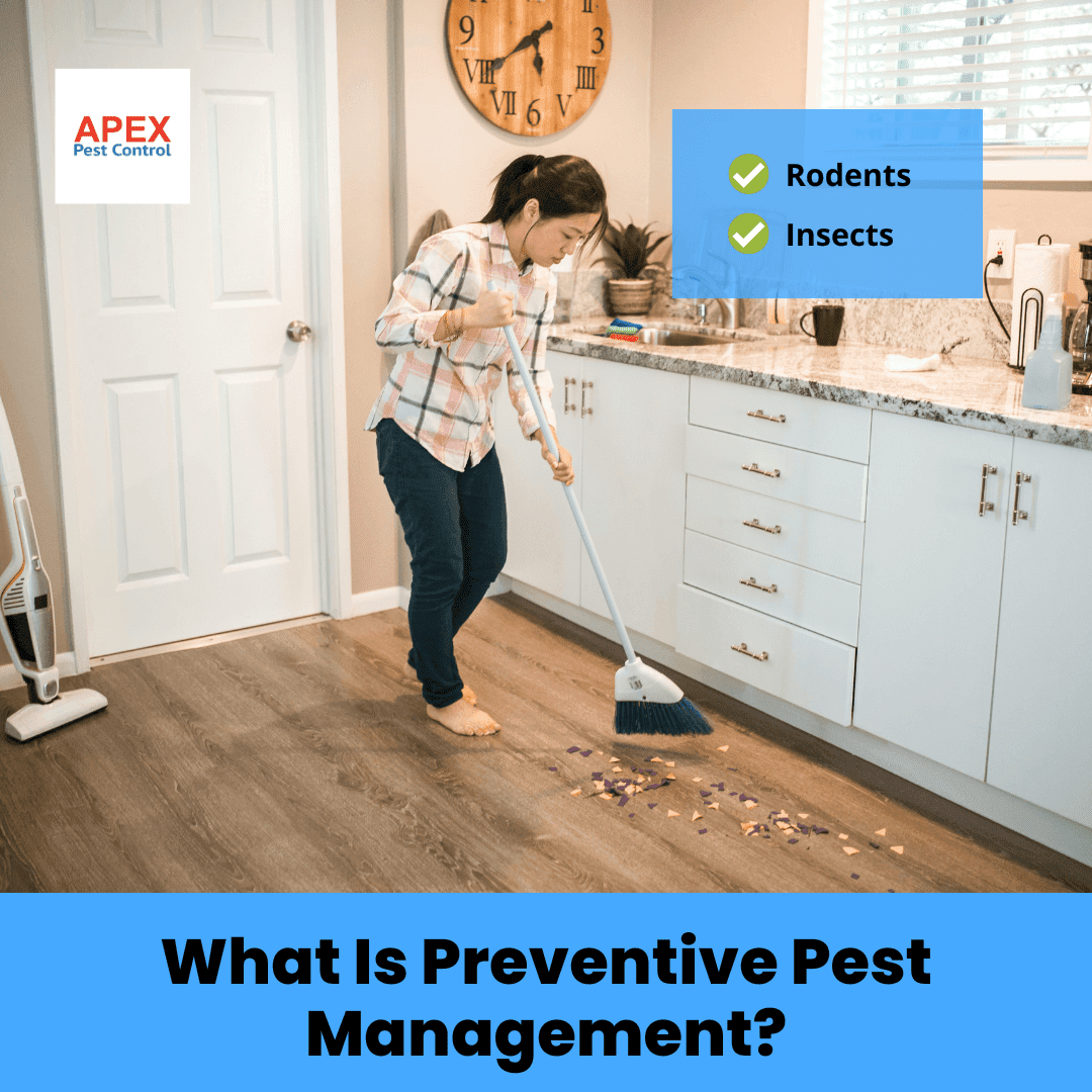 What Is Preventive Pest Management