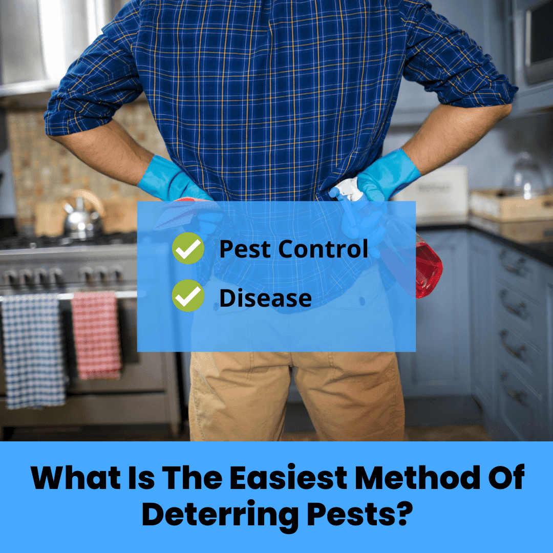 What Is The Easiest Method Of Deterring Pests