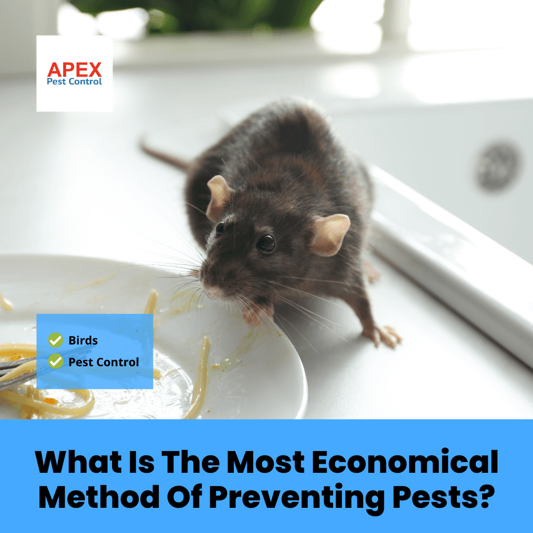 What Is The Most Economical Method Of Preventing Pests