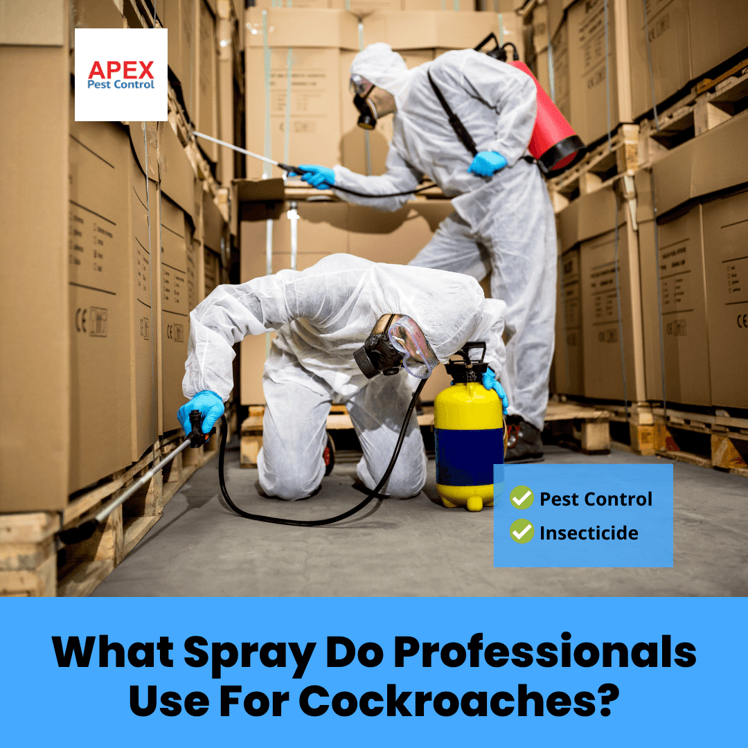 What Spray Do Professionals Use For Cockroaches