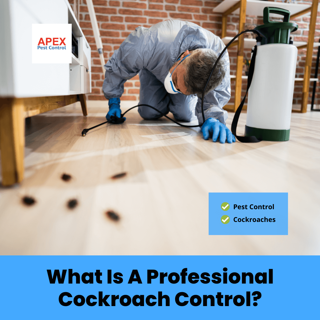What is a Professional Cockroach Control