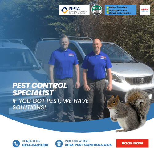 when to call a pest control specialist