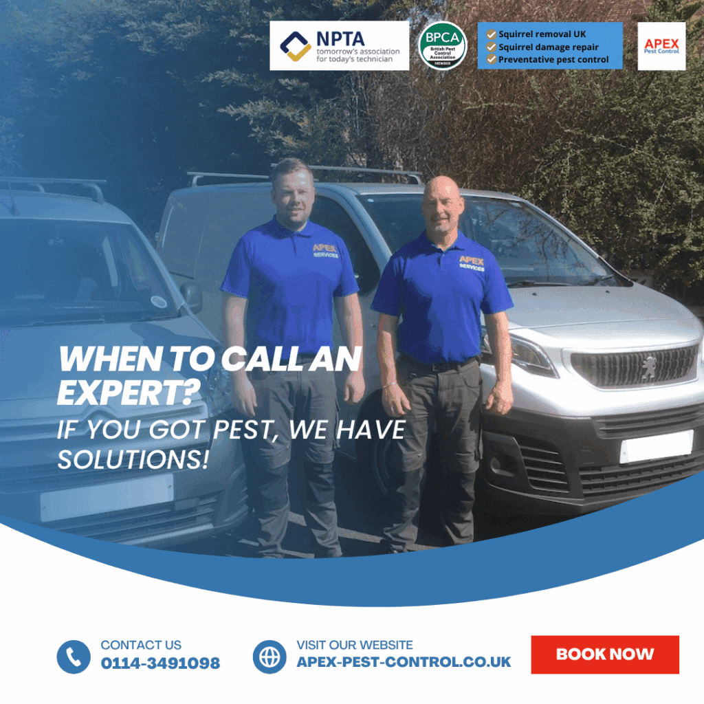 when to call an expert