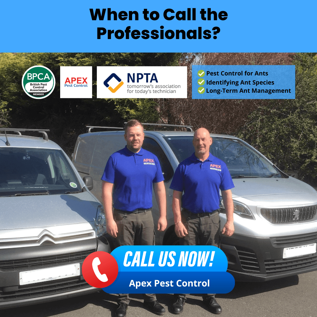 When to Call the Professionals