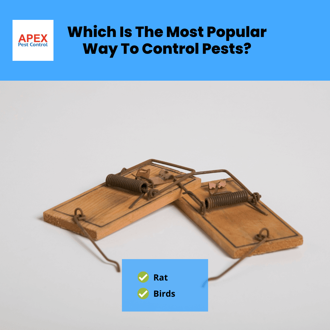 Which Is The Most Popular Way To Control Pests