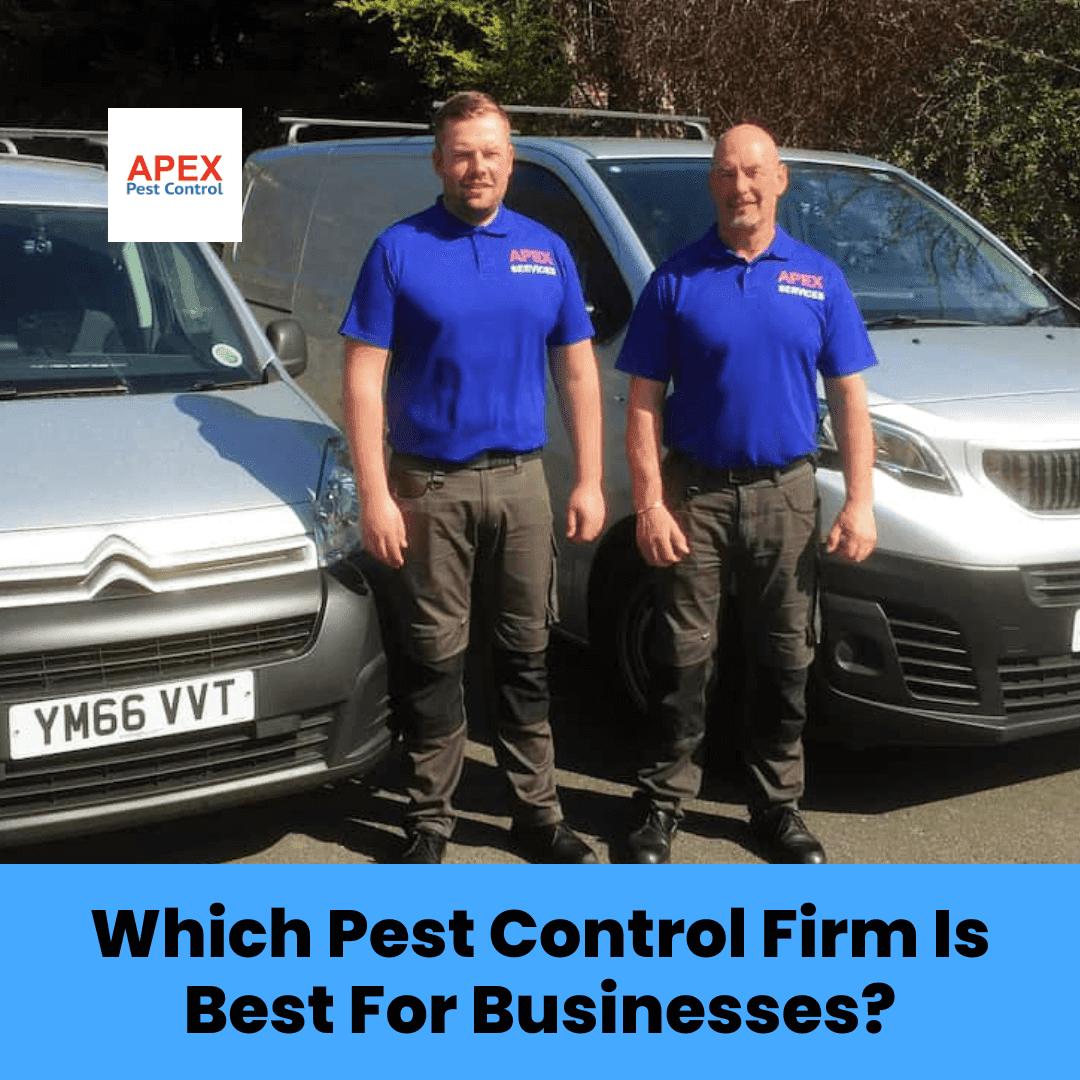 Which Pest Control Firm Is Best For Businesses
