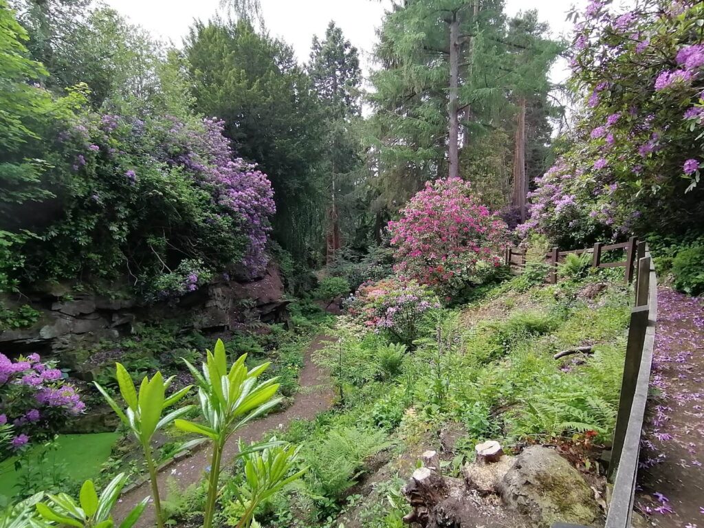 whinfell quarry garden