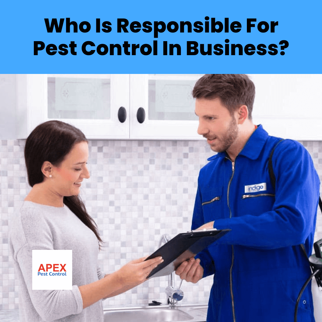 Who Is Responsible For Pest Control In Business