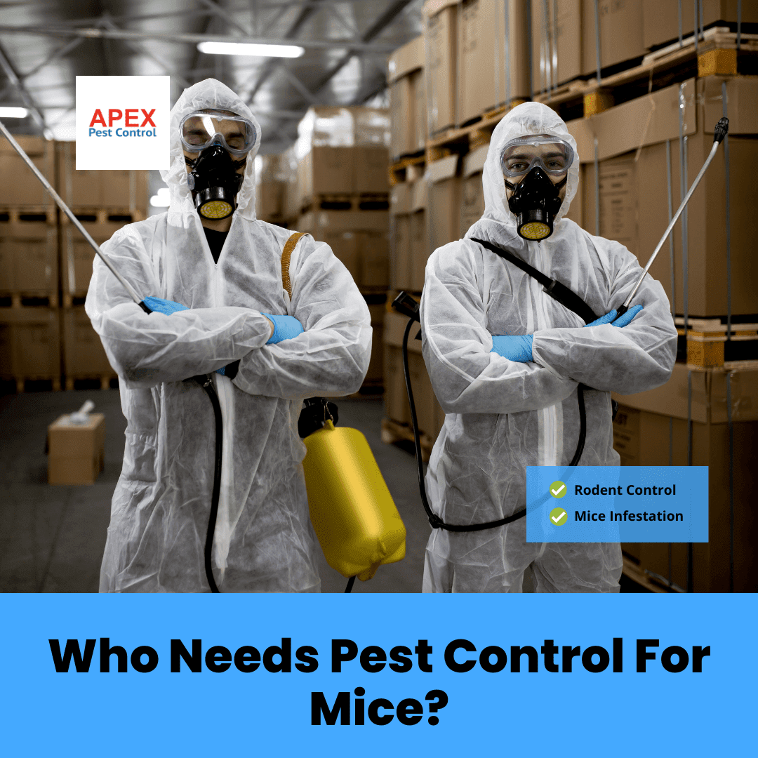Who Needs Pest Control For Mice