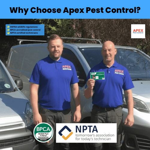 why choose apex pest control