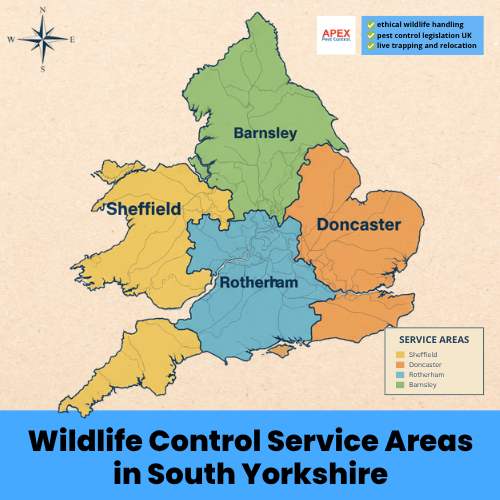 wildlife control service areas in south yorkshire