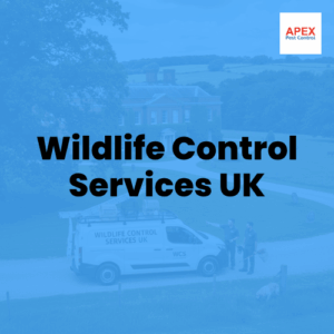 wildlife control services uk